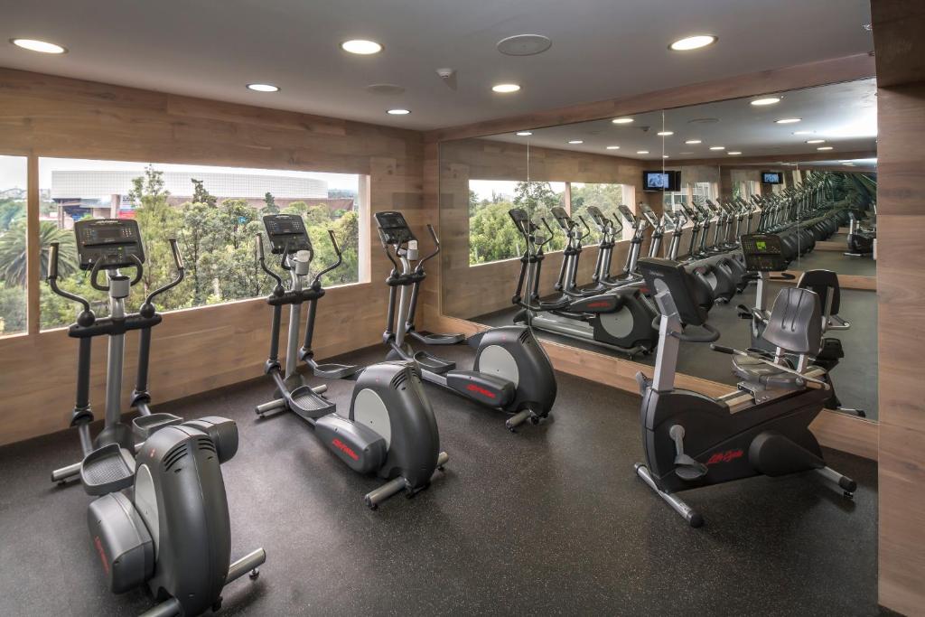 A mirrored cardio room with ellipticals and treadmills overlooking trees.