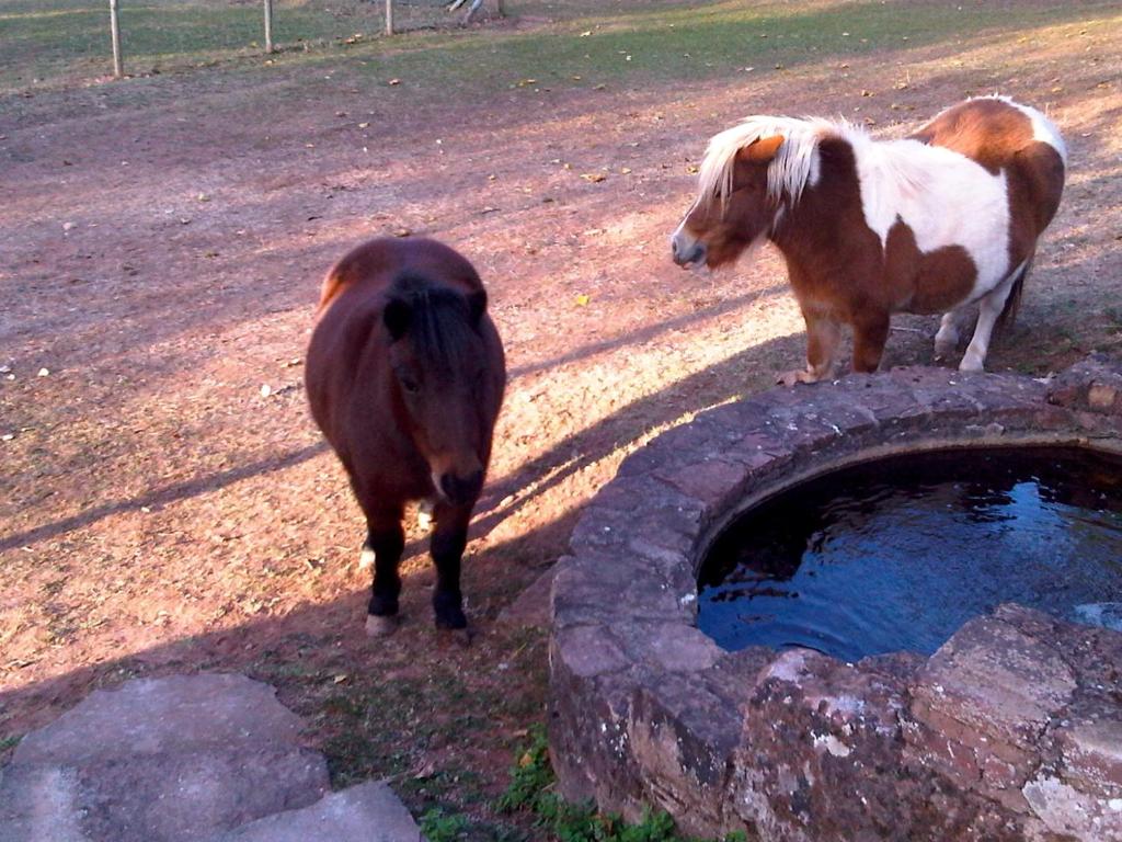 Gallery image of Le Hameau des Genets in Montlaur