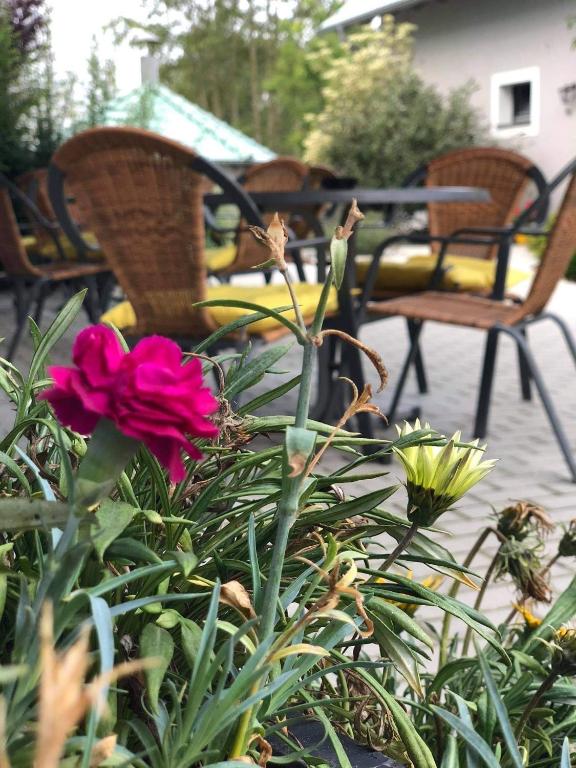 Zdjęcie z galerii obiektu Penzion Merica w mieście Bor