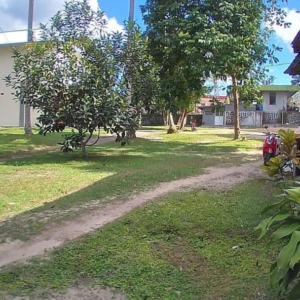 Zahrada ubytování Mimi Guest House Syariah Pangkalan bun