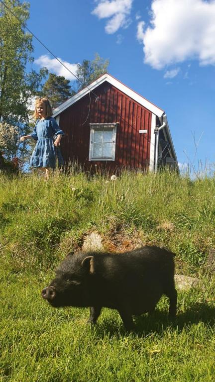 Fotografie z fotogalerie ubytování Hotell Paradis v destinaci Eksjö