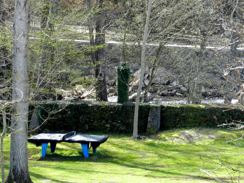 Zahrada ubytování Hostel El Lago, Caceres