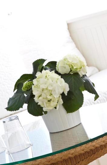 Buchholz Downtown Hotel - Resim 30