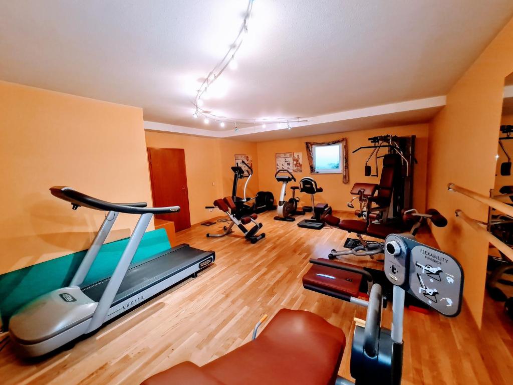 Fitness centrum a/nebo fitness zařízení v ubytování Hotel Restaurant Felix