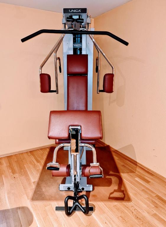 Fitness centrum a/nebo fitness zařízení v ubytování Hotel Restaurant Felix