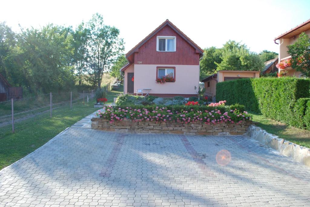 A garden outside Aniel Privat