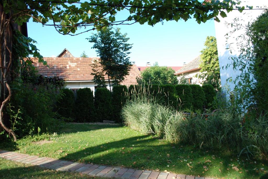 A garden outside Aniel Privat