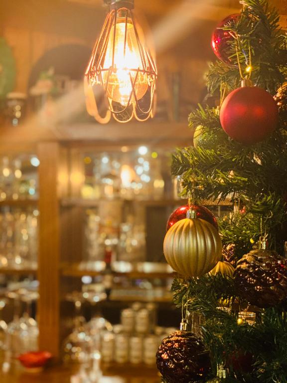 Chongqing Ovid Hostel Christmas Buffet 2022 Stargazy Garden, Hayle – Updated 2022 Prices