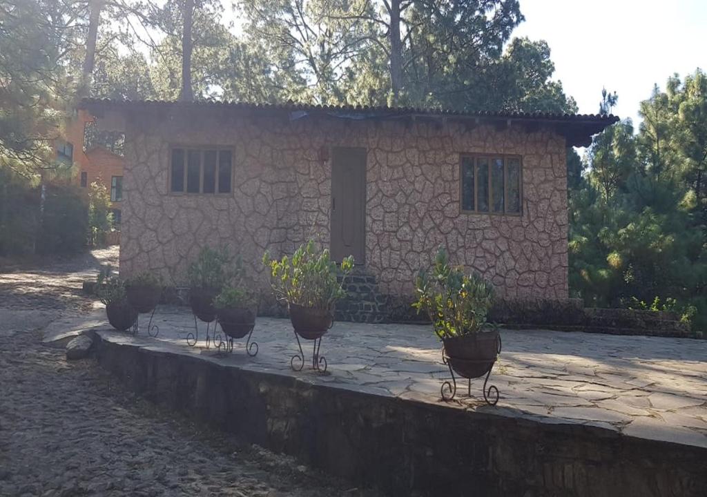 Zahrada ubytování Cabañas RuizSeñor
