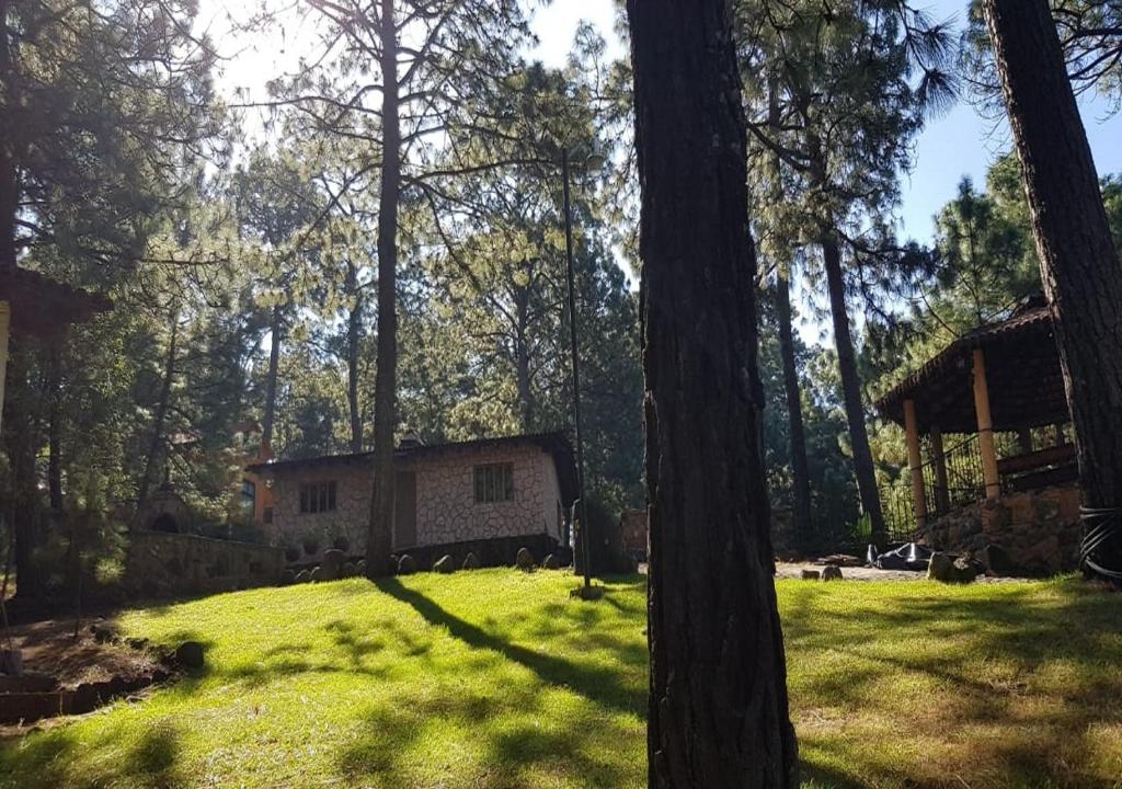 Zahrada ubytování Cabañas RuizSeñor