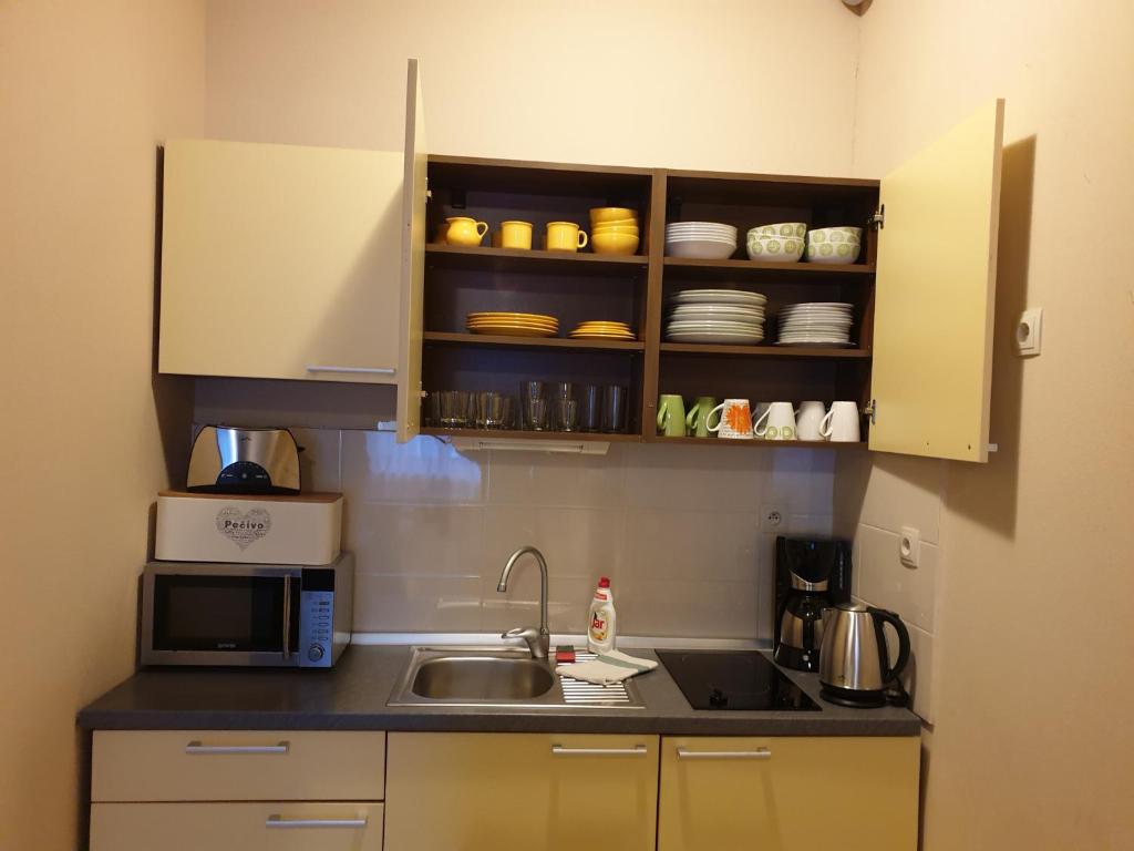 Kuchyň nebo kuchyňský kout v ubytování Apartment 7 Donovaly, AD Kamzík
