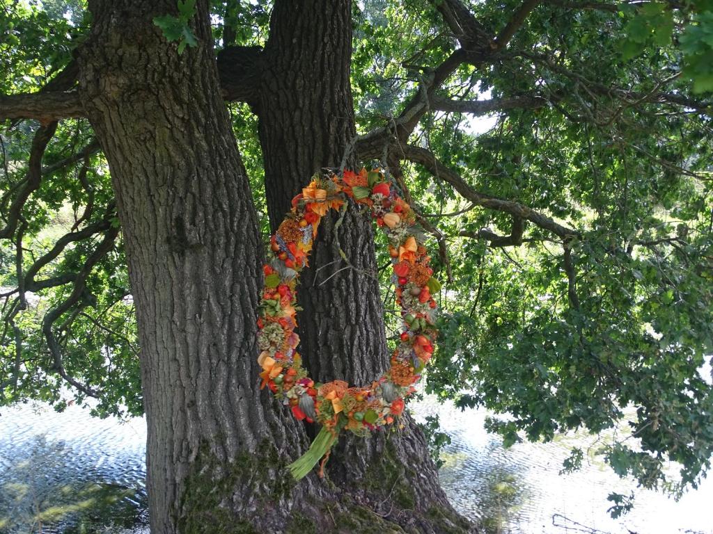 Zahrada ubytování Gutshof Zum Adlernest