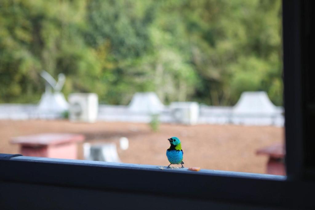  Apartamento Ubatuba Vista para o mar e pé na areia - Praia das Toninhas
