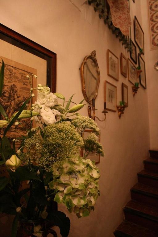 Fotografie z fotogalerie ubytování Lou Amourie v destinaci Roussillon