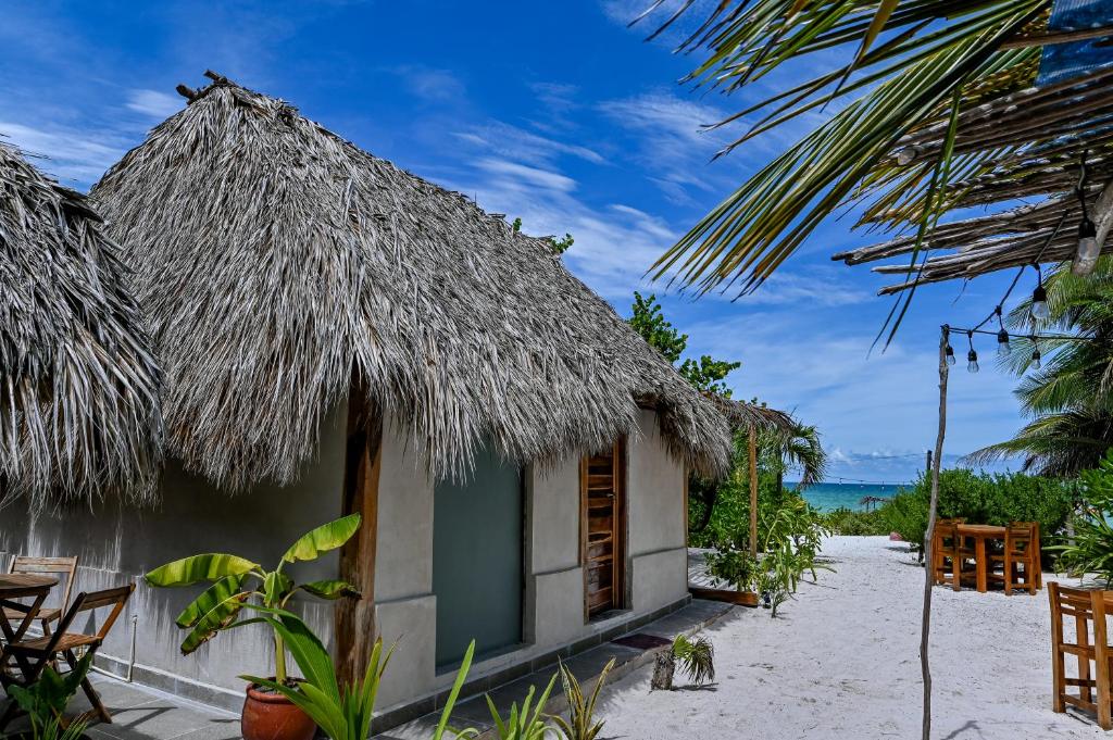 a beach with palm trees and palm trees at Casa Mate BeachFront Cabañas El Cuyo in El Cuyo
