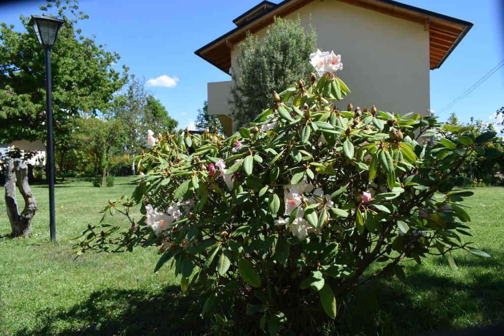a bush with pink flowers in front of a building at Montalto in Dina Huapi