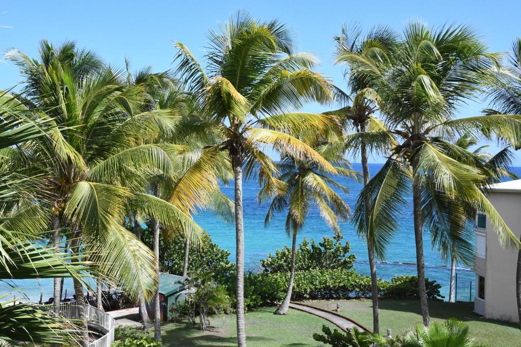- une vue sur l'océan depuis un complexe avec des palmiers dans l'établissement Résidence La Vieille Tour - ZENITUDE - Grand studio vue mer accès plage privative, au Gosier