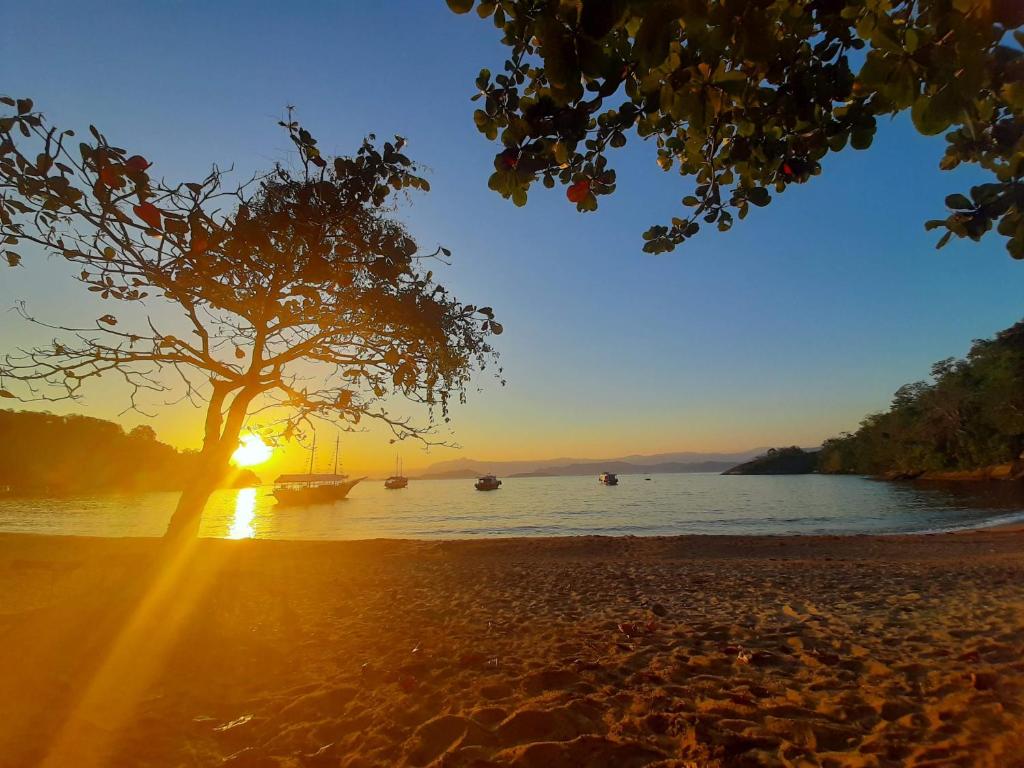un árbol en la playa con la puesta de sol en el fondo en Casa de Temporada Ceu e Mar en Praia do Bananal