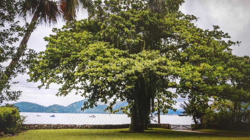  CASA PRAIA PE NA AREIA
