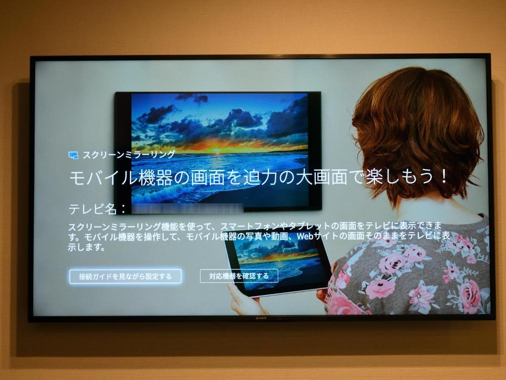 TV a/nebo společenská místnost v ubytování Amistad Hotel Fukuoka