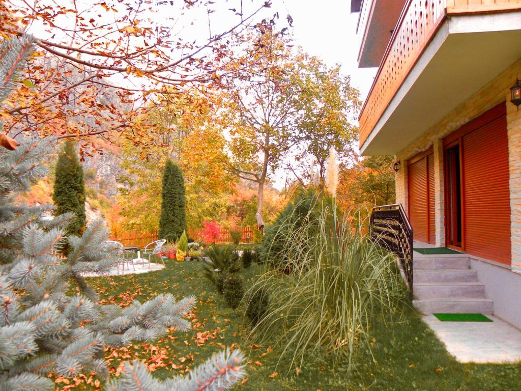Vila Alexander B&B - Image 11