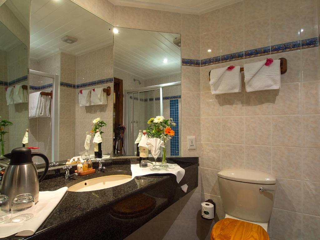 een badkamer met een wastafel, een toilet en een spiegel bij Knysna Log-Inn Hotel in Knysna