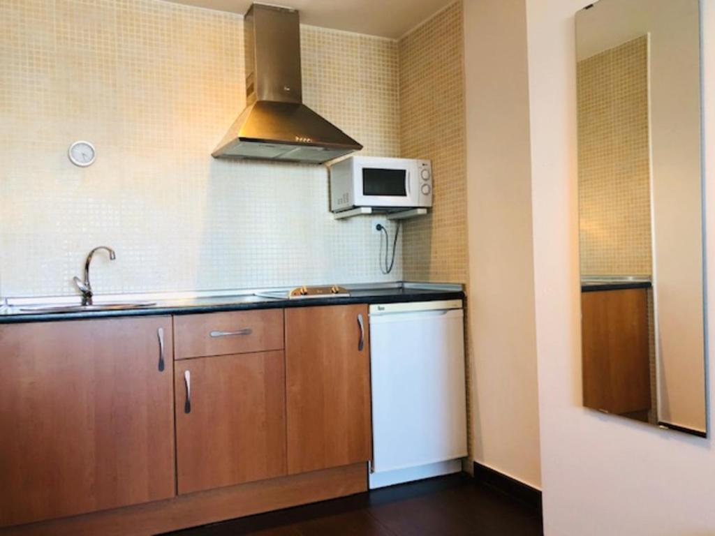 Kuchnia lub aneks kuchenny w obiekcie Apartamentos Sierra Nevada Prime Bluettravel