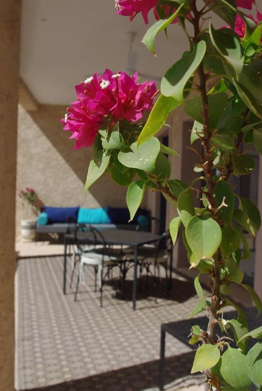 Zahrada ubytování LE JASMIN DE MARRAKECH