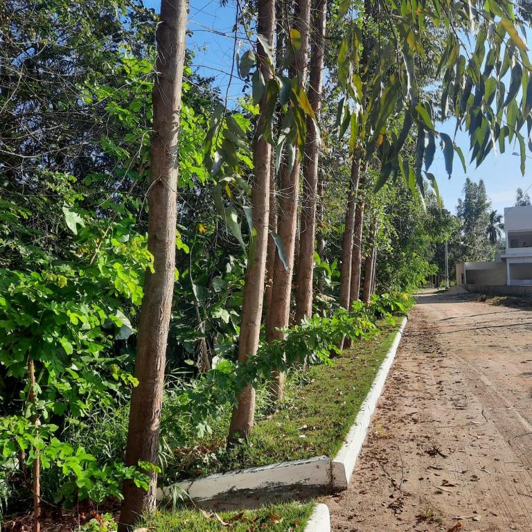  CASA NOVA 1 em condomínio Entre Maragogi e Carneiros