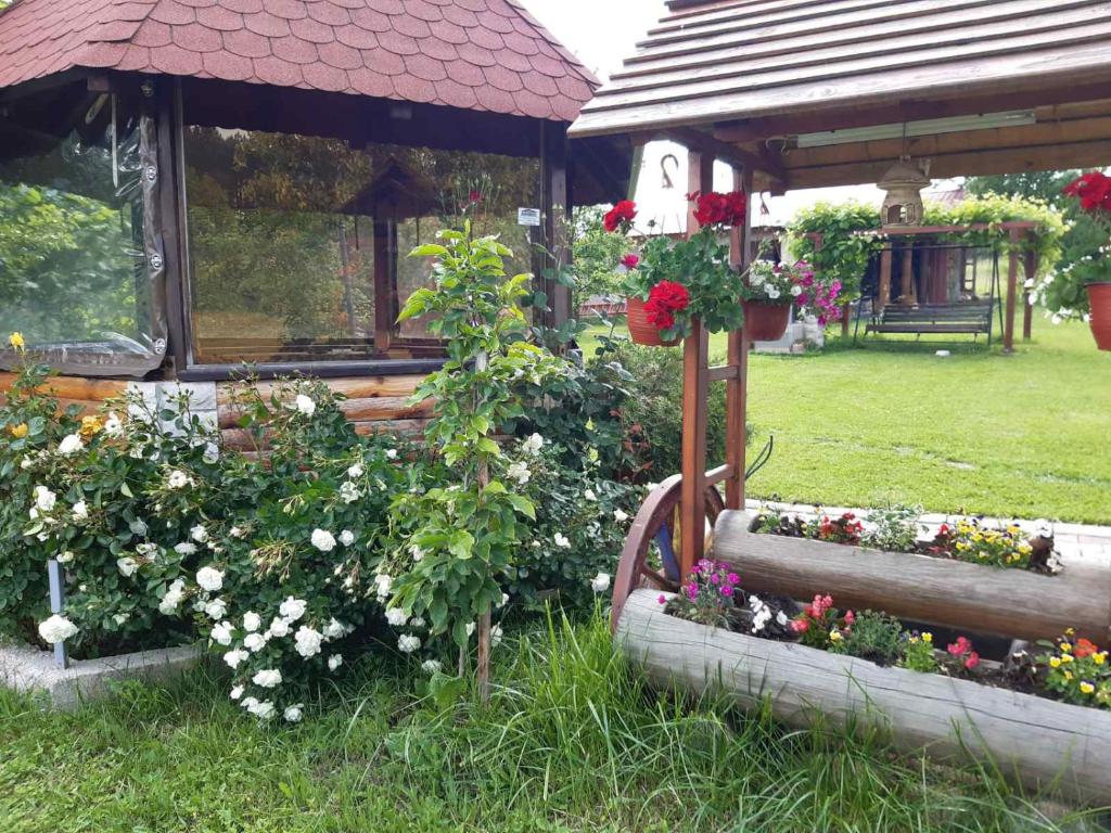 Zahrada ubytování BRVNARE STOJIĆ