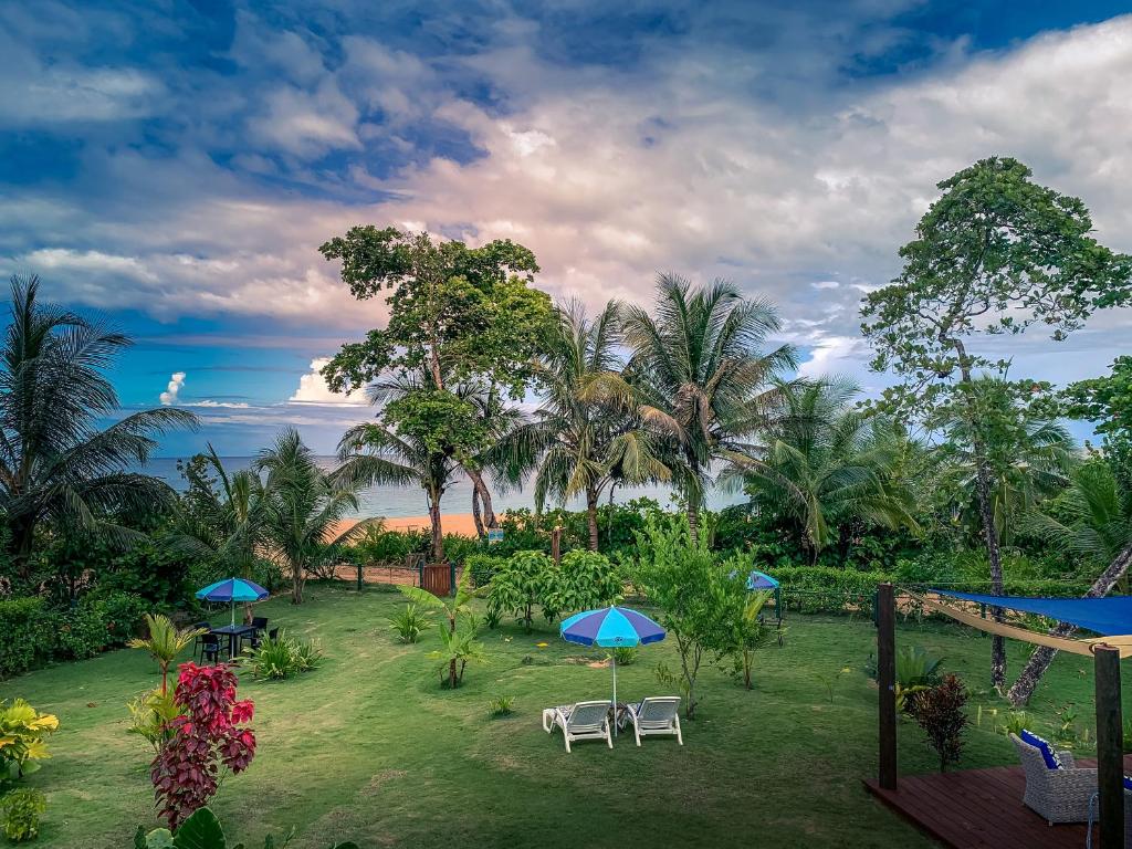 un giardino con sedie e ombrelloni sull'erba di Oasis Bluff Beach a Bocas del Toro