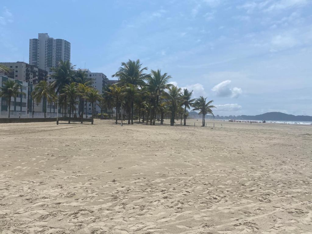  Apto Vila Tupi a 50m do mar