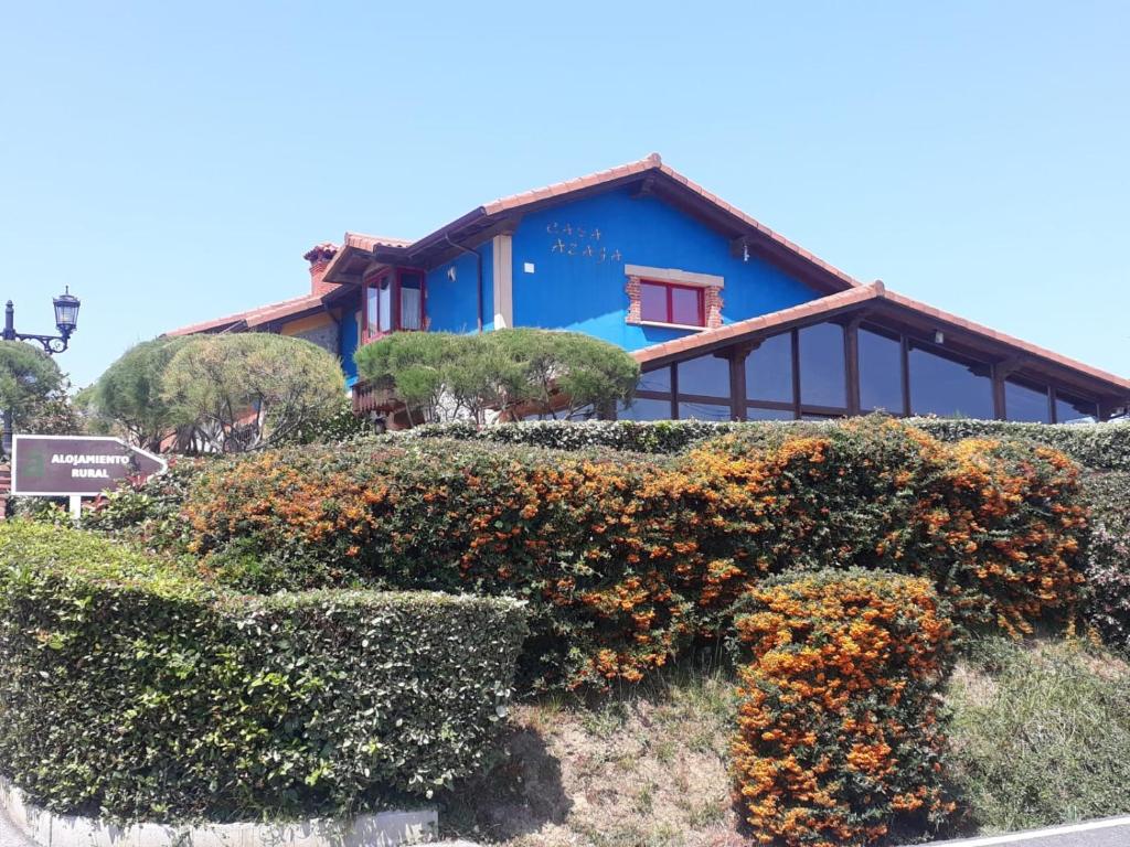 Uma casa azul com um monte de plantas à frente. em Casa Rural Azaga Adults Only em Ajo