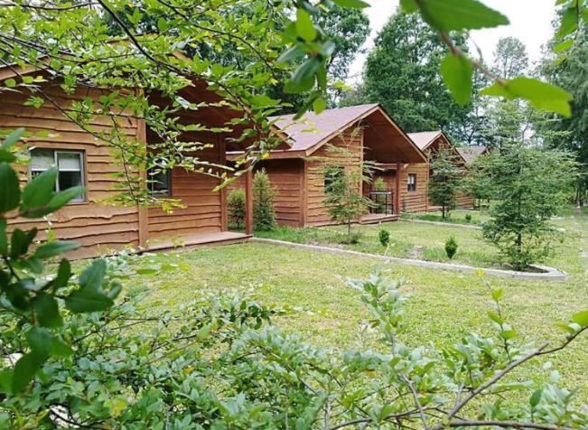 Zahrada ubytování Cabañas Huenehue