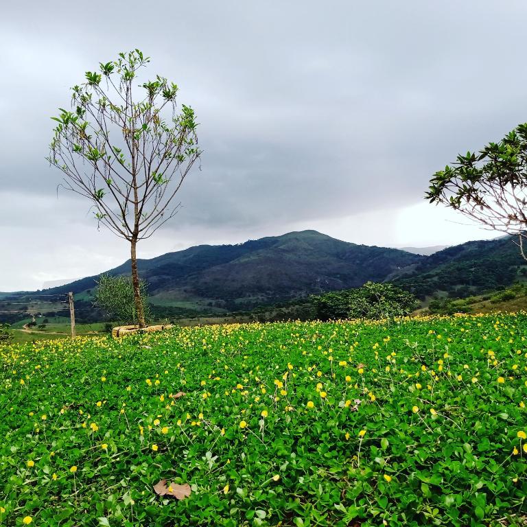  Pousada Sabor da canastra