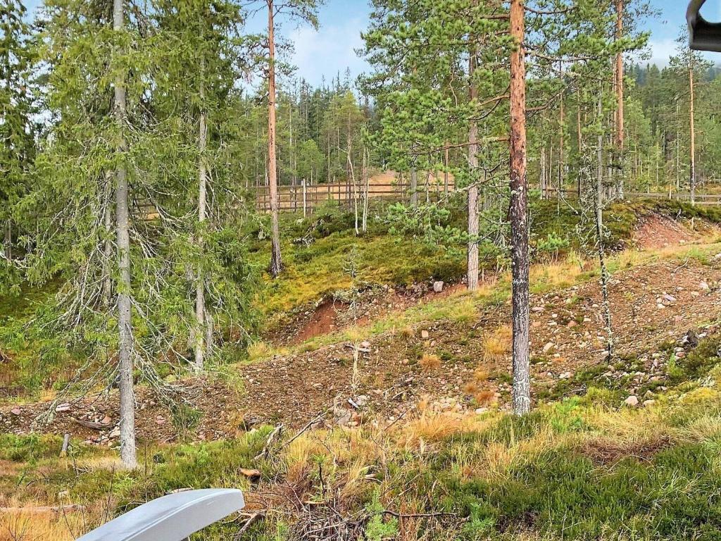 a surfboard sitting on top of a hill in a forest at 8 person holiday home in S LEN in Sälen