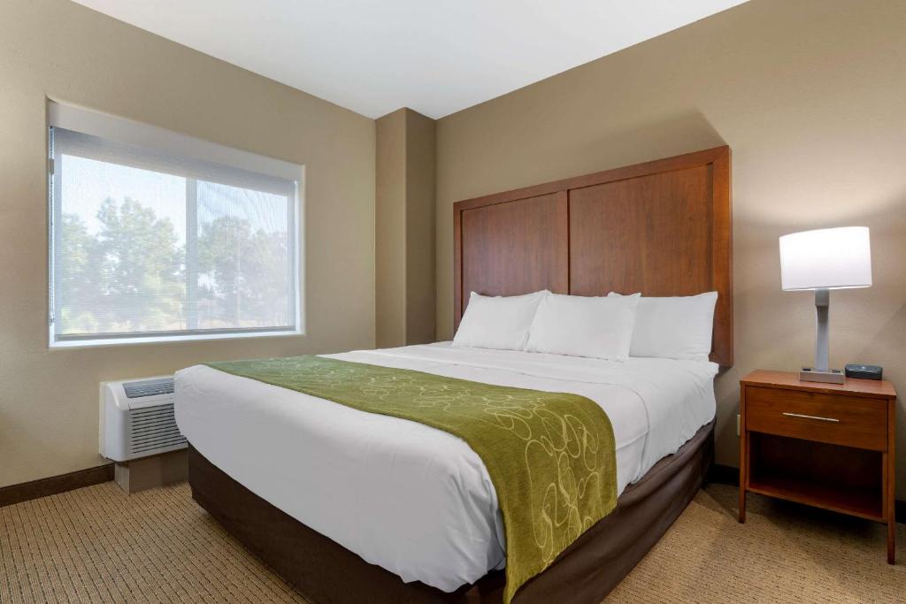 Comfort Suites Marysville-Yuba City - King Room Met Werkruimte