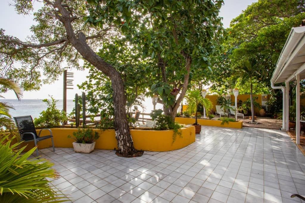 Zahrada ubytování Villa Seaside Boca Sami