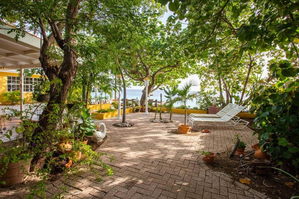 Zahrada ubytování Villa Seaside Boca Sami