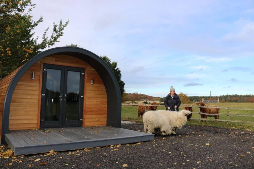 une femme debout devant un petit bâtiment avec un mouton dans l'établissement Glampods Glamping Pod - meet Highland Cows and Sheep Elgin, à Elgin
