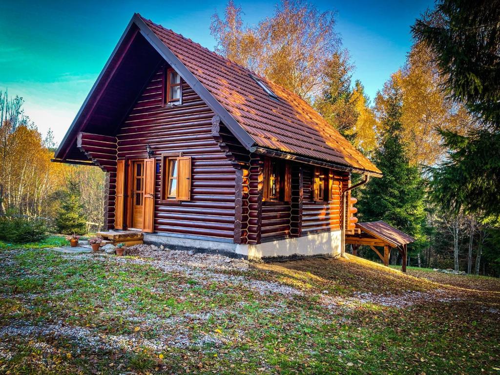 eine Blockhütte inmitten eines Waldes in der Unterkunft Pine Lodge in Hlevci