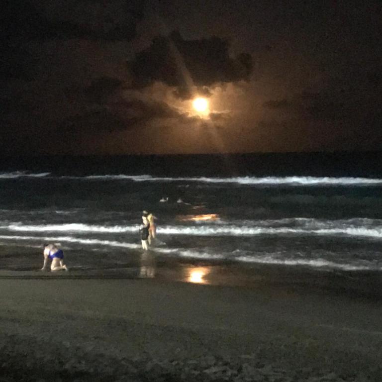  Tamandaré 100m das piscinas naturais