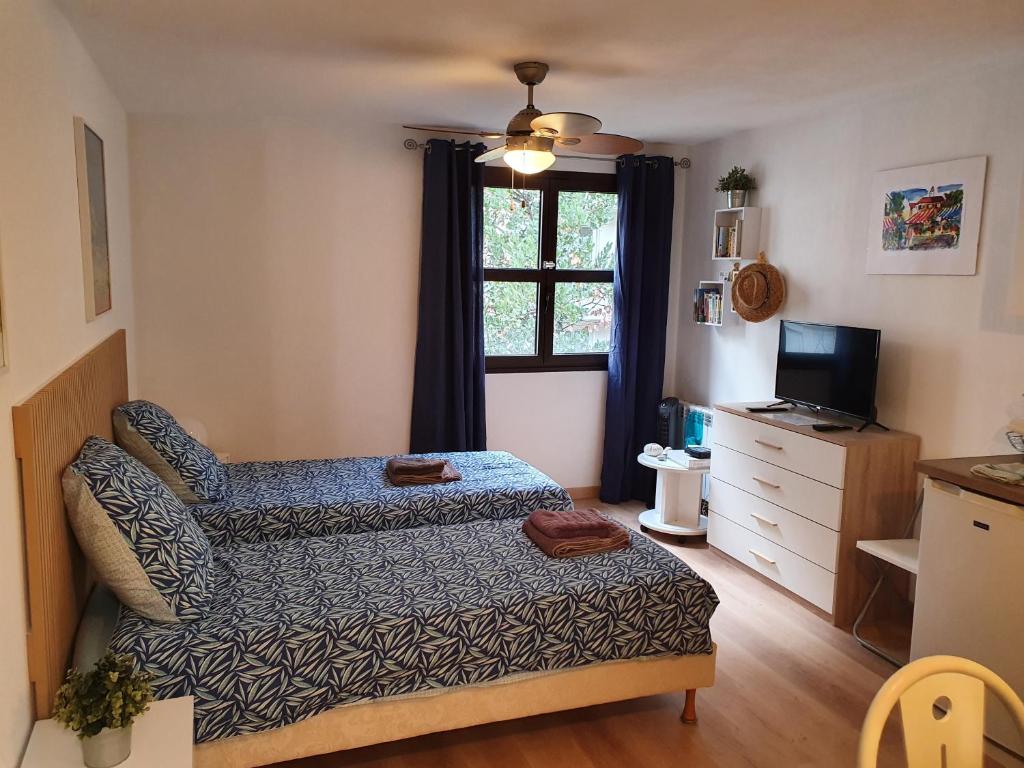 a bedroom with a bed and a tv and a window at Oranger in Nice