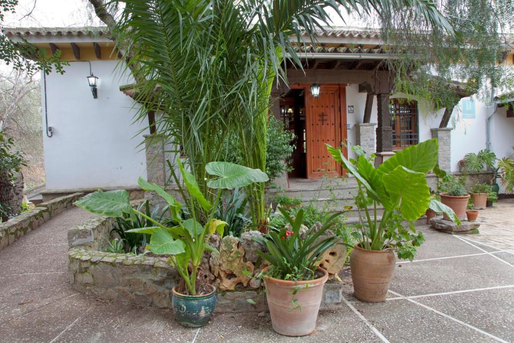 a group of potted plants in front of a house at Hostal El Cortijo in Algodonales