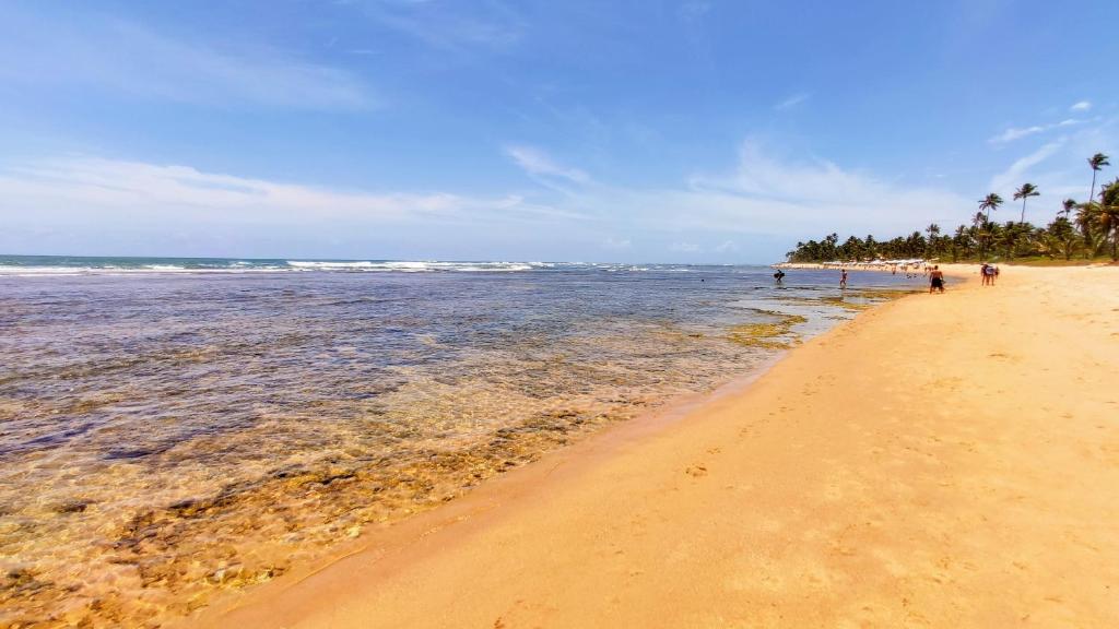  Pé na areia na melhor praia da Praia do Forte.