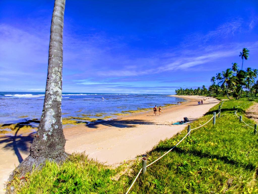  Pé na areia na melhor praia da Praia do Forte.