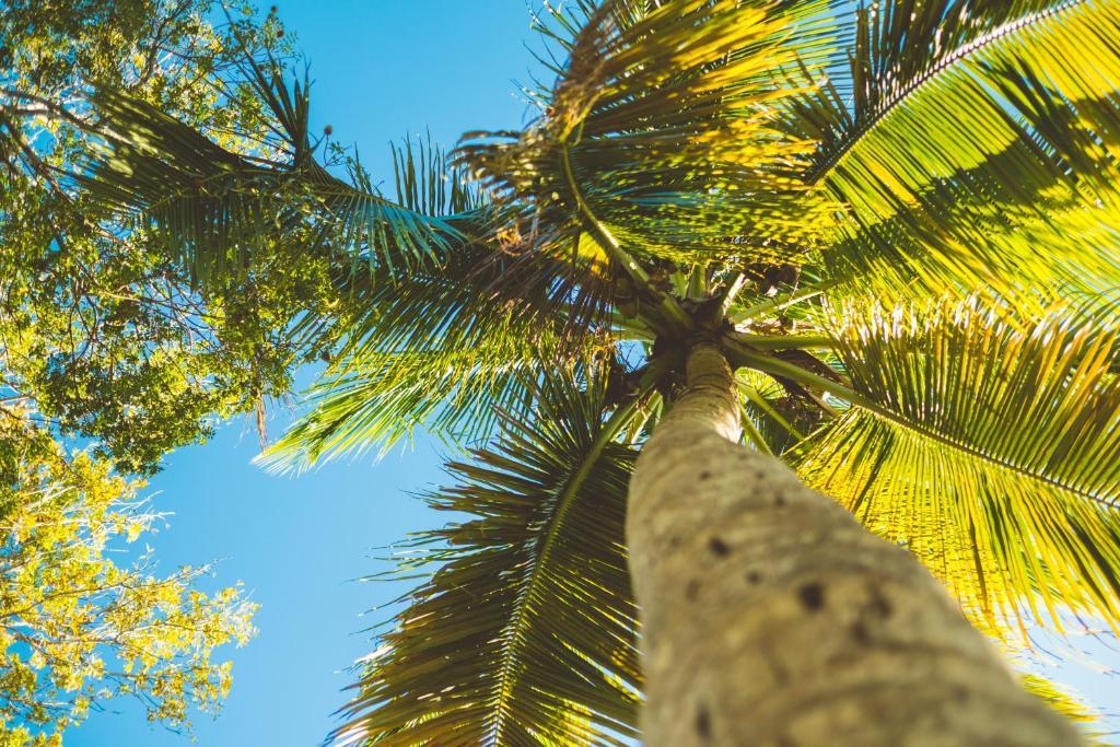 Fotografie z fotogalerie ubytování Puertas v destinaci Vieques