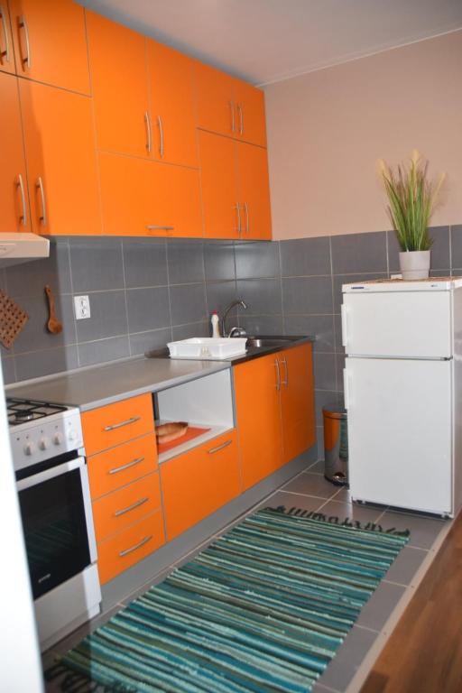 Kuchyň nebo kuchyňský kout v ubytování Apartmani Petar