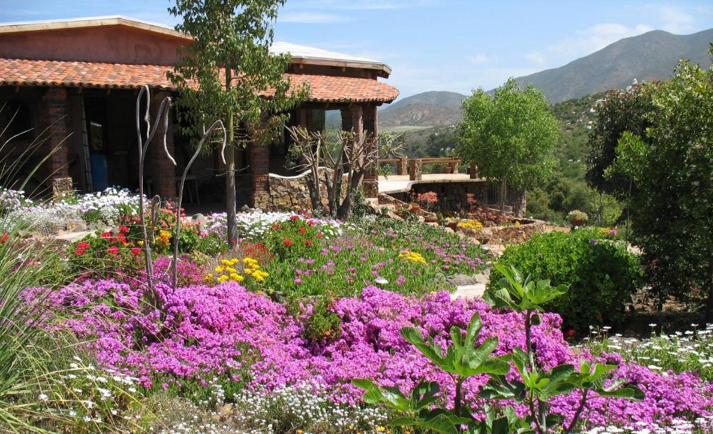 un jardín con flores púrpuras frente a un edificio en Quinta Maria en la Ruta del Vino en Valle de Guadalupe