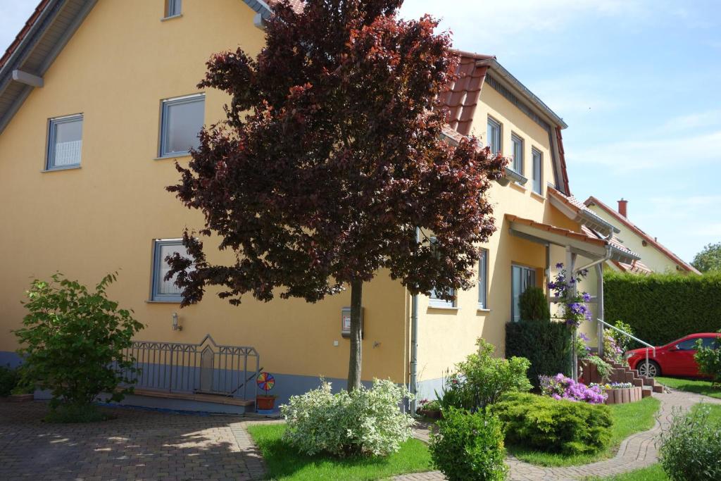 ein gelbes Haus mit einem Baum davor in der Unterkunft Antjes Ferienwohnung Flonheim in Flonheim